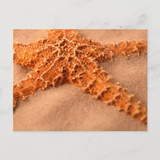 Cartão Postal cp iões e cl-up (Frente)