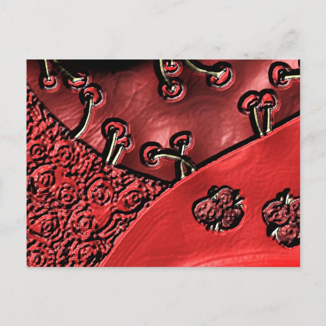 Cartão Postal Cranberry Bazaar (Frente)