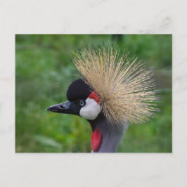 Cartão Postal Crane coroada
