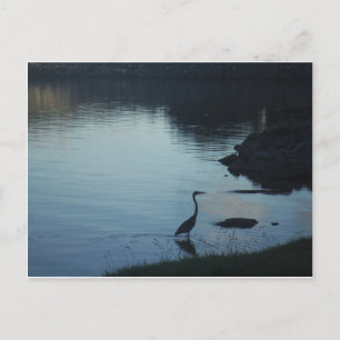 Cartão Postal Crane no lago de Sunset