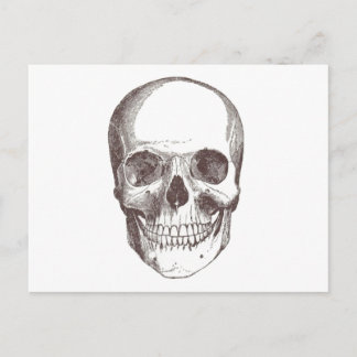 Cartão Postal Crânio anatômico, Preto/Branco