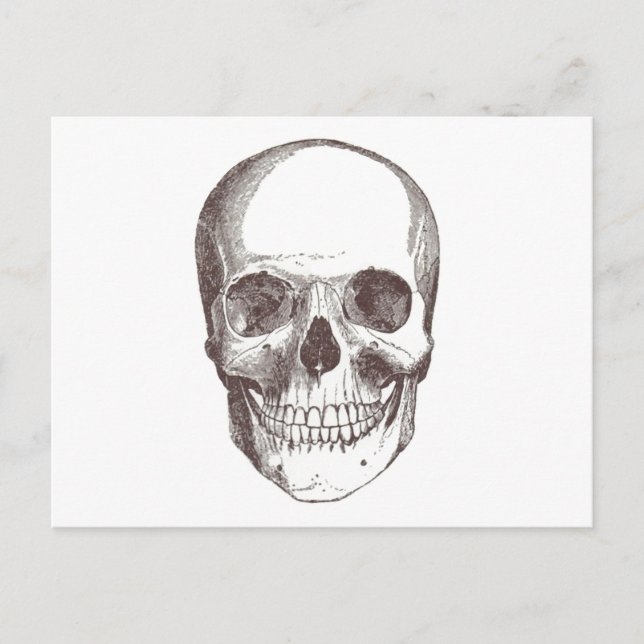 Cartão Postal Crânio anatômico, Preto/Branco (Frente)