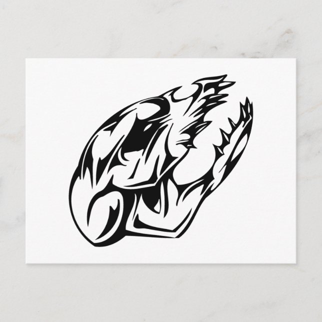 Cartão Postal Crânio animal (Frente)