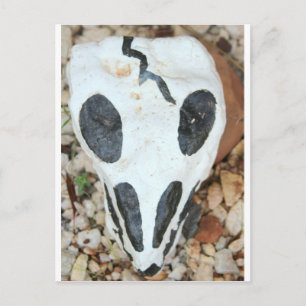 Cartão Postal crânio de dia del muerte
