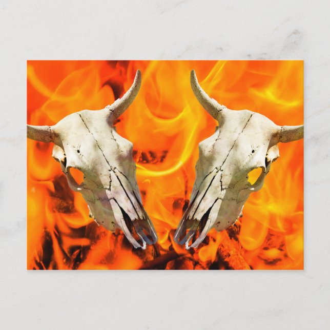 Cartão Postal Crânio e fogo da vaca (Frente)