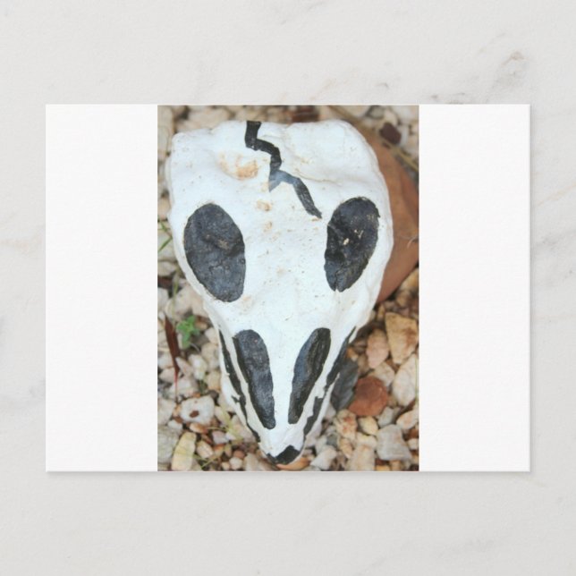 Cartão Postal crânio pintado (Frente)