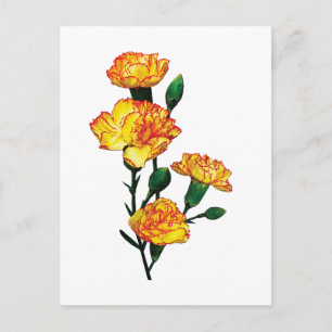 Cartão Postal Cravos Amarelos de ponta vermelha