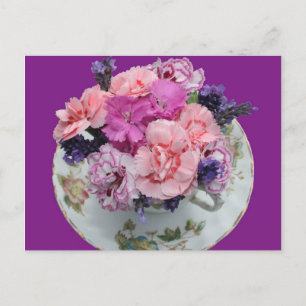 Cartão Postal Cravos de Pinks no teacup
