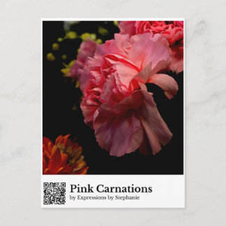 Cartão Postal Cravos Rosa