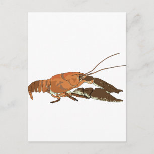 Cartão Postal Crayfish/Crawdad Realista