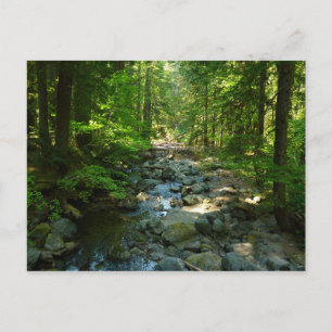 Cartão Postal Creek de Água Raiva no Parque Nacional de Monte R