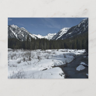 Cartão Postal Creek Dourado