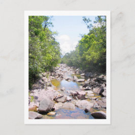 Cartão Postal Creek na Venezuela — Paisagem da selva