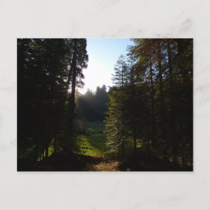 Cartão Postal Crescent Meadow Morning