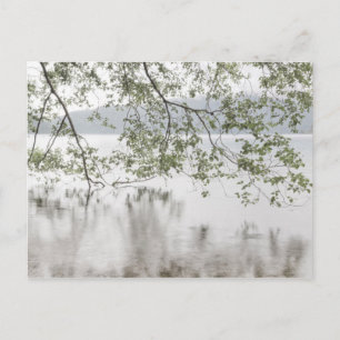 Cartão Postal Crescente lago Parque Nacional da Olimpiadas, WA