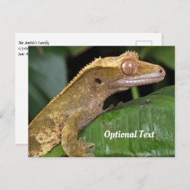 Cartão Postal Crested Gecko em folha