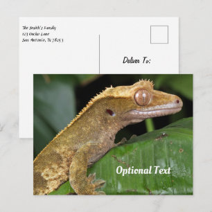 Cartão Postal Crested Gecko em folha