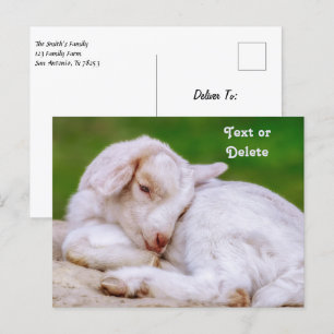 Cartão Postal Criança de Capuz Bebê com Sono Personalizada