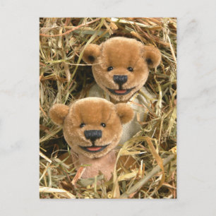 Cartão Postal Crianças do Fazendeiro Dinky Bears