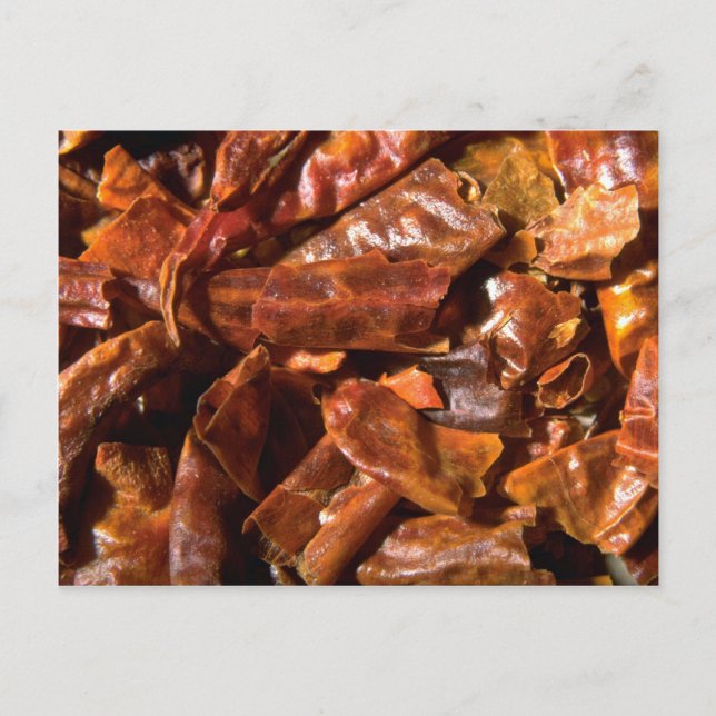 Cartão Postal Crianças inteiras (Frente)