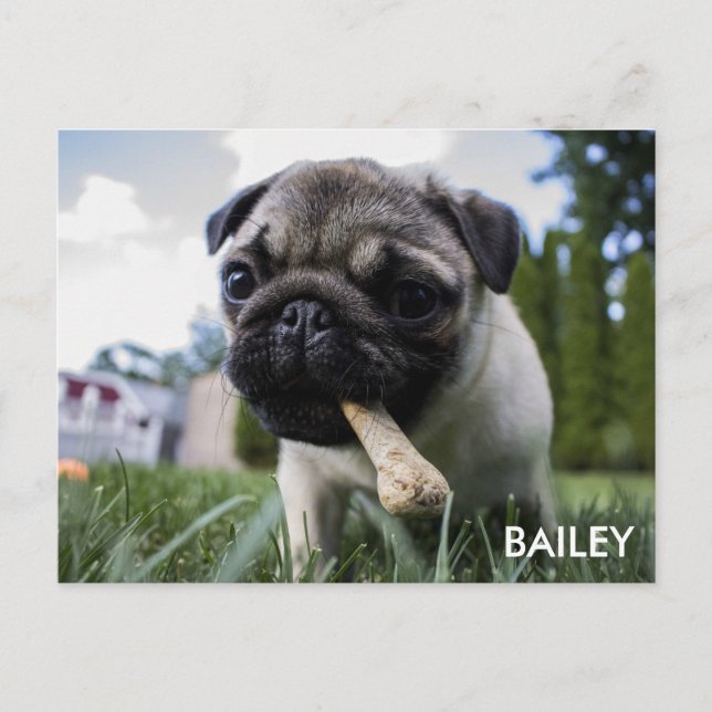 Cartão Postal Criar sua própria foto feita sob encomenda (Frente)