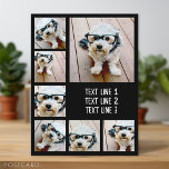 Cartão Postal Criar uma Colagem de Fotos Personalizada com 7 Fot<br><div class="desc">Uma simples colagem de fotos com uma área para adicionar qualquer texto. Use sua foto ou fotos favoritas para fazer um espetáculo divertido para compartilhar com amigos. Para obter melhores resultados, recorte suas fotos em quadrados antes de carregar. Você também pode alterar a cor e a fonte do plano de...</div>