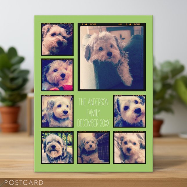 Cartão Postal Criar uma Colagem de Fotos Personalizada com 8 Fot (Personalized Photo Postcard)