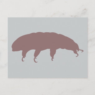 Cartão Postal Criatura de Cuta Silhueta Tardigrada de Urso Água