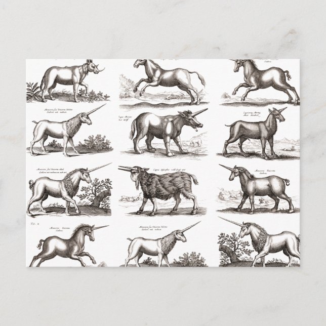 Cartão Postal Criatura Mágica Clássica do Unicórnio Antiquado (Frente)