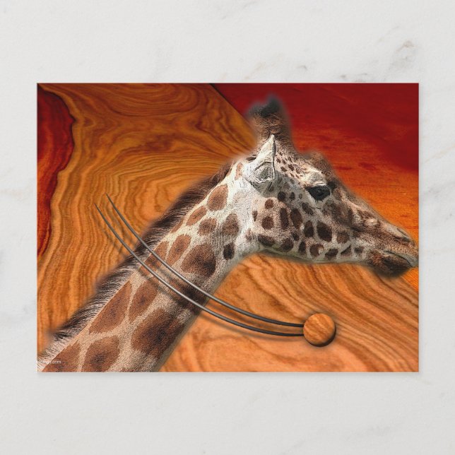 CARTÃO POSTAL CRIATURAS INCRÍVEIS (Frente)