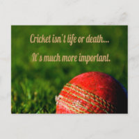Cricket Red Ball Motivação Engraçada