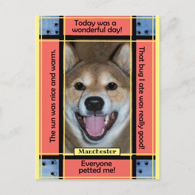 Cartão Postal Crie seu próprio texto engraçado com foto de cacho (Frente)