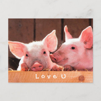Cartão Postal Crie Sua Foto Engraçada Te Ama Personalizado