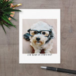 Cartão Postal Crie sua própria borda branca da Galeria de Fotogr<br><div class="desc">Adicione sua selfie ou retrato favorito de um amigo. Use uma foto quadrada para criar um presente exclusivo e pessoal ou manter o filhote de hipster e fazer uma manutenção de tendências. Se precisar ajustar as fotos,  clique na ferramenta personalizar para fazer alterações.</div>