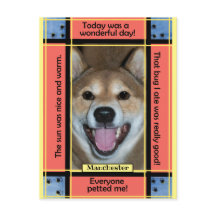 Crie Sua Própria Foto Engraçada de Cachorro Gato A