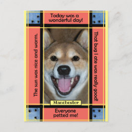 Cartão Postal Crie Sua Própria Foto Engraçada de Cachorro Gato A