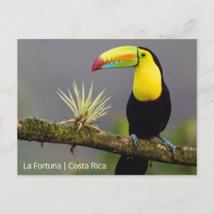 Cartão Postal Crie sua própria foto na Costa Rica