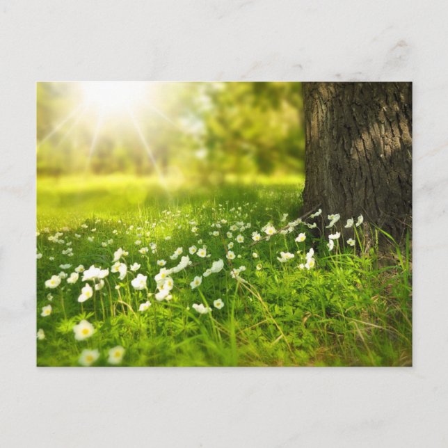 Cartão Postal Crie sua própria foto personalizada personalizada (Frente)