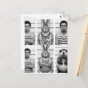 Cartão Postal Criminosos Humanos e de Vida Selvagem Marmota e Co