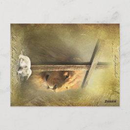 Cartão Postal Cristo cordeiro de Deus