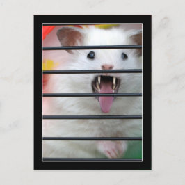 Cartão Postal Critter é um Hamster Médio