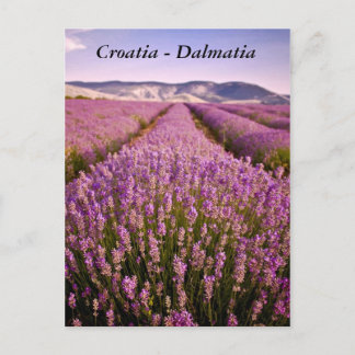 Cartão Postal Croácia - Dalmácia