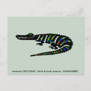 Cartão Postal CROCODILO americano legal - Vida Selvagem - Nature