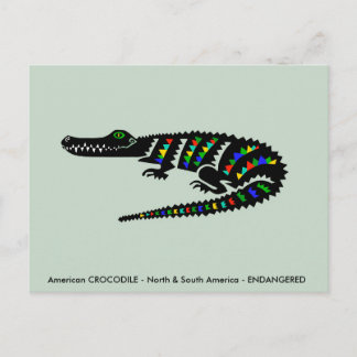 Cartão Postal CROCODILO americano legal - Vida Selvagem - Nature