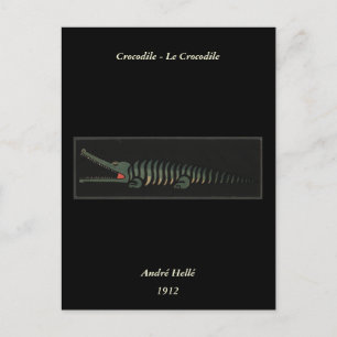 Cartão Postal Crocodilo - Ilustração Colorida de Livro Antigo