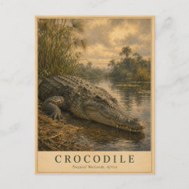Cartão Postal Crocodilo Pântanos Africanos VINTAGE
