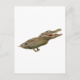 Cartão Postal Crocoduck