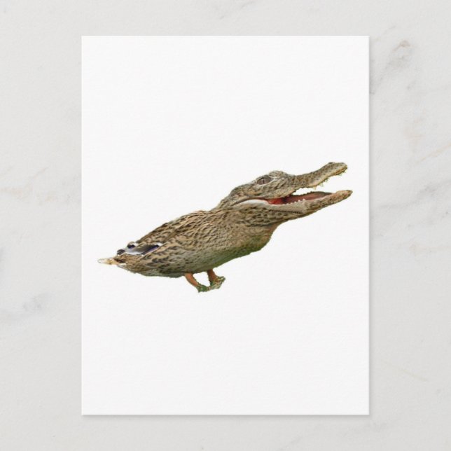 Cartão Postal Crocoduck (Frente)