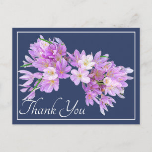 Cartão Postal Crocus Floral Rosa Roxo Moderno Bonito Obrigado