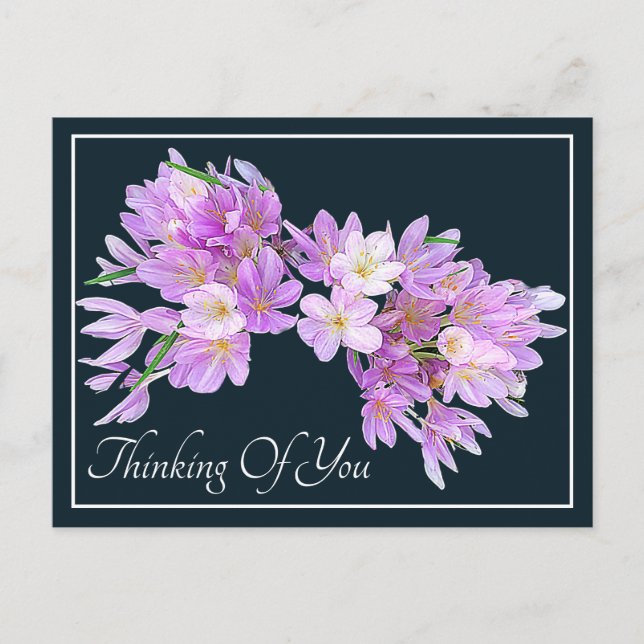 Cartão Postal Crocus Rosa/Roxo Fundo Cinza Pensando Em Você (Frente)